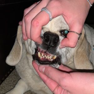 Meet your Posher, Avery